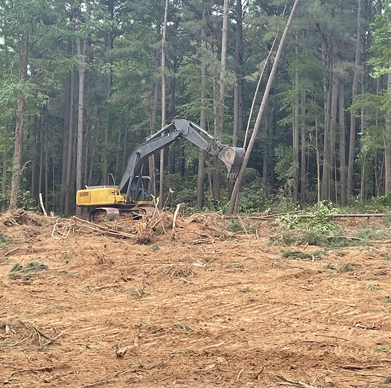Excavator clearing area with trees